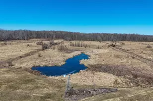 8360 Day Rd, Pittsford, MI 49271 - Photo 41