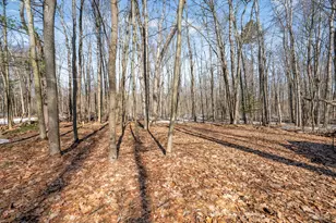 7174 Oak Hollow Trail, Lake, MI 48632 - Photo 19