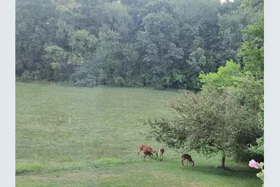 511 E Southern Road, Coldwater, MI 49036 - Photo 45