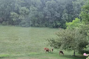 511 E Southern Rd, Coldwater, MI 49036 - Photo 45