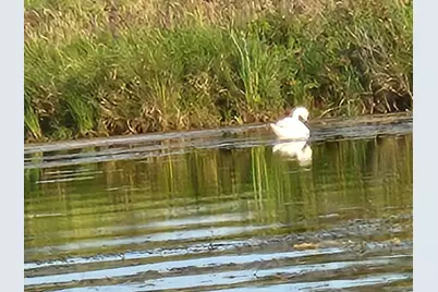 511 E Southern Road, Coldwater, MI 49036 - Photo 47