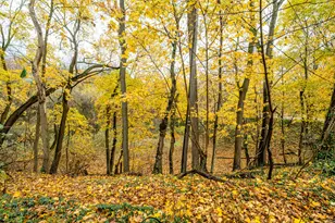 1298 Colfax Ave, Benton Harbor, MI 49022 - Photo 5