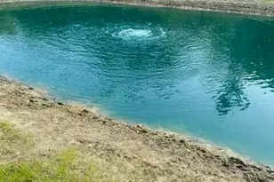 10044 W Sargent Rd, Fowlerville, MI 48836 - Photo 37