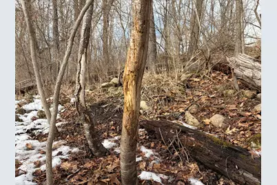 N Carlson Road, Parma, MI 49269 - Photo 17