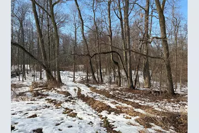 N Carlson Road, Parma, MI 49269 - Photo 43