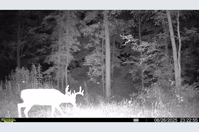 N Carlson Road, Parma, MI 49269 - Photo 89