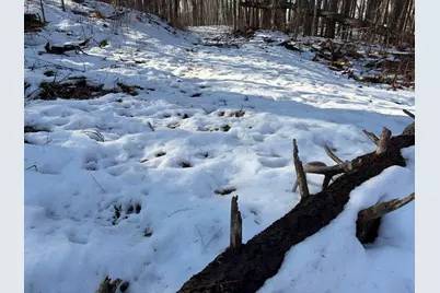 N Carlson Road, Parma, MI 49269 - Photo 77