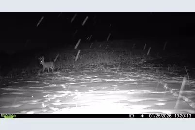 N Carlson Road, Parma, MI 49269 - Photo 97