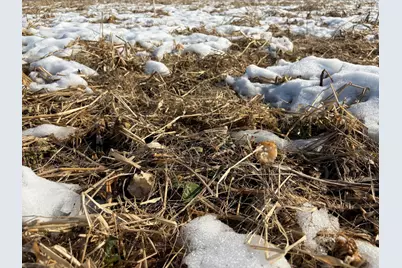 N Carlson Road, Parma, MI 49269 - Photo 49