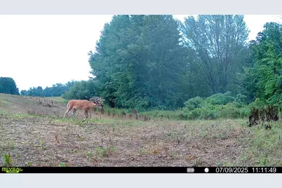 N Carlson Road, Parma, MI 49269 - Photo 93