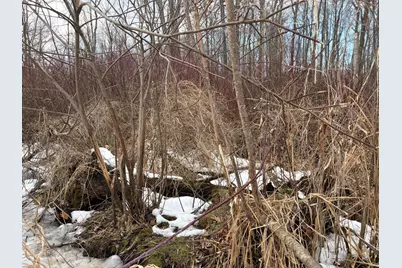 N Carlson Road, Parma, MI 49269 - Photo 35