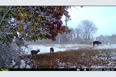 N Carlson Road, Parma, MI 49269 - Photo 91