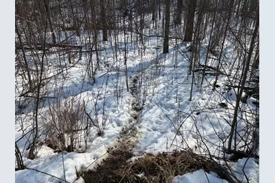 N Carlson Road, Parma, MI 49269 - Photo 79