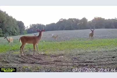 N Carlson Road, Parma, MI 49269 - Photo 83