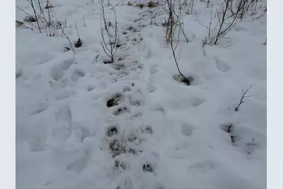 N Carlson Road, Parma, MI 49269 - Photo 37