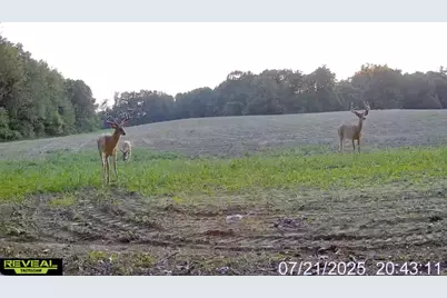 N Carlson Road, Parma, MI 49269 - Photo 87