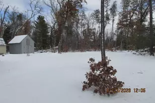 8990 S Crosby Rd, Idlewild, MI 49642 - Photo 13