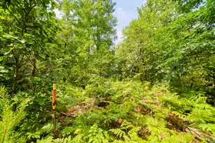 925 S High Bridge Rd, Wellston, MI 49689 - Photo 53