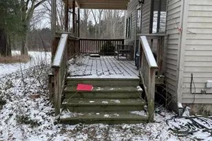 300 Cleveland St, Chelsea, MI 48118 - Photo 3