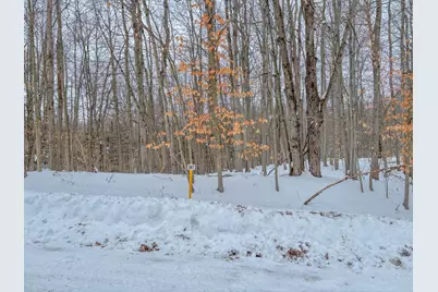 12349 Wagon Wheel Trail #386, Canadian Lakes, MI 49346 - Photo 3