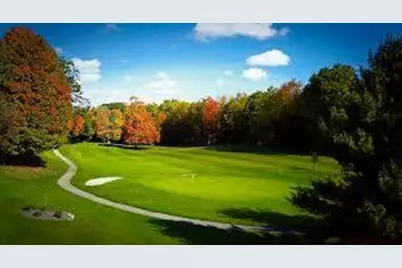 12349 Wagon Wheel Trail #386, Canadian Lakes, MI 49346 - Photo 11