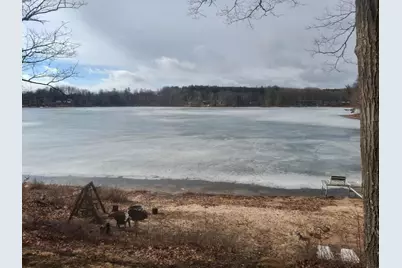 12101 Pearl Street, Leroy, MI 49655 - Photo 11