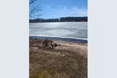 12101 Pearl Street, Leroy, MI 49655 - Photo 9