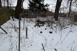 1436 Marquette St, Lansing, MI 48906 - Photo 27