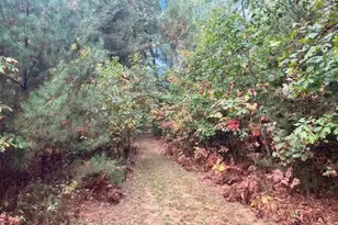 5683 N Tyndall Rd, Branch, MI 49402 - Photo 115