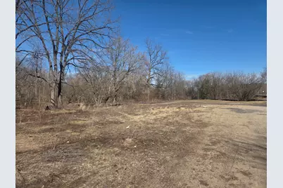 419 N Chestnut Street, Reed City, MI 49677 - Photo 3