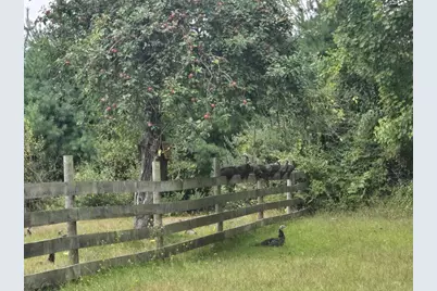 9433 8 Mile Road, Mecosta, MI 49332 - Photo 53