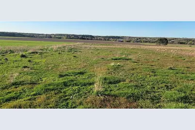 10 Acres +/- 3 Mile Road, Reed City, MI 49677 - Photo 3