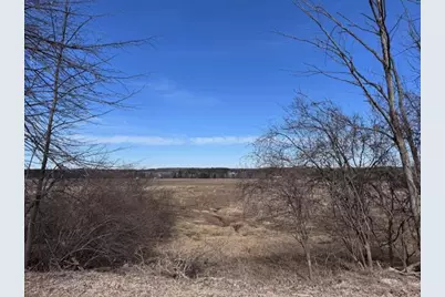 10 Acres +/- 3 Mile Road, Reed City, MI 49677 - Photo 5