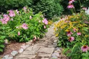 524 Hickory St, Milford, MI 48381 - Photo 5