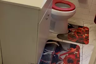 19781 Plainview Ave, Detroit, MI 48219 - Photo 5