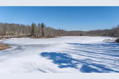 10478 Wampum Trail, Evart, MI 49631 - Photo 21