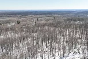 10478 Wampum Trail, Evart, MI 49631 - Photo 83