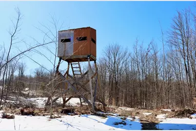 10478 Wampum Trail, Evart, MI 49631 - Photo 77