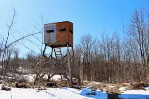 10478 Wampum Trail, Evart, MI 49631 - Photo 77