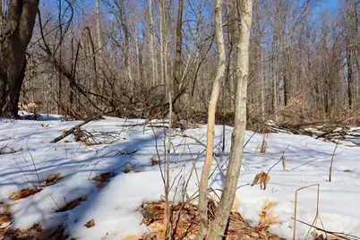 10478 Wampum Trail, Evart, MI 49631 - Photo 71