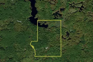 10478 Wampum Trail, Evart, MI 49631 - Photo 85