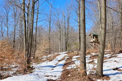 10478 Wampum Trail, Evart, MI 49631 - Photo 11