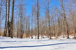10478 Wampum Trail, Evart, MI 49631 - Photo 73