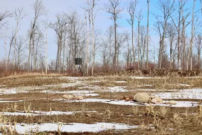 10478 Wampum Trail, Evart, MI 49631 - Photo 13