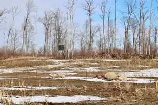 10478 Wampum Trail, Evart, MI 49631 - Photo 13