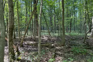 3100 W Isabella Rd, Shepherd, MI 48883 - Photo 1