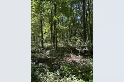 3100 W Isabella Road, Shepherd, MI 48883 - Photo 5