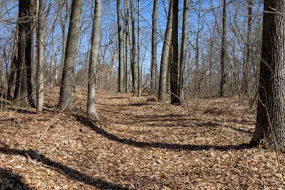 14714 Myers Lake Avenue NE #Parcel B, Cedar Springs, MI 49319 - Photo 21