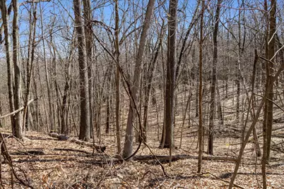 14714 Myers Lake Avenue NE #Parcel B, Cedar Springs, MI 49319 - Photo 15