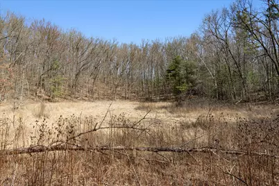 14714 Myers Lake Avenue NE #Parcel B, Cedar Springs, MI 49319 - Photo 17